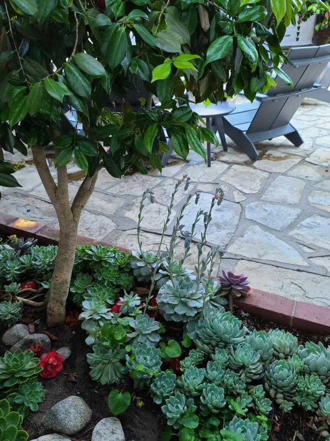 The Vagabond'S House Boutique Inn Carmel-by-the-Sea Exterior foto